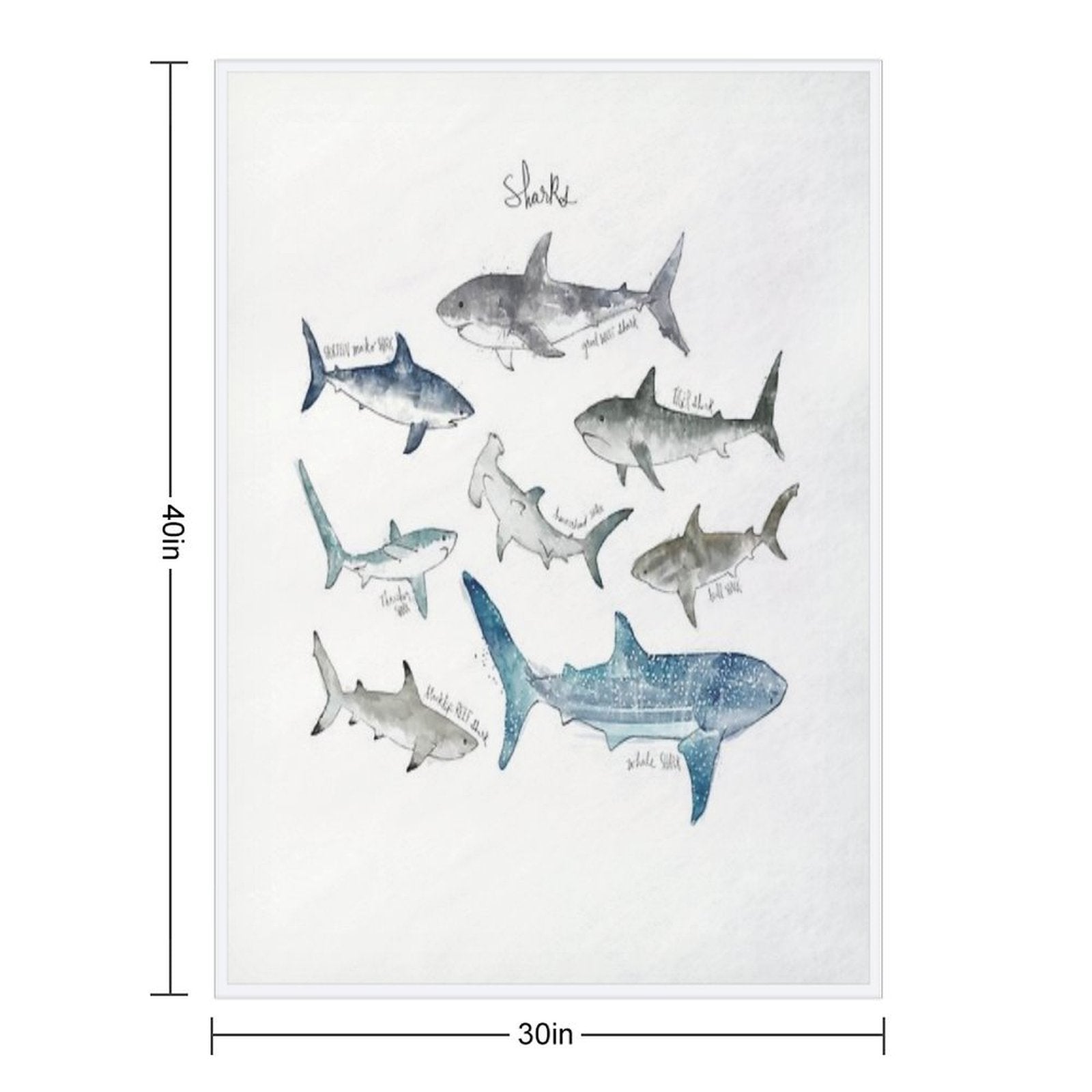 Sharks - Landscape Format Velvety-soft Throw Blanket