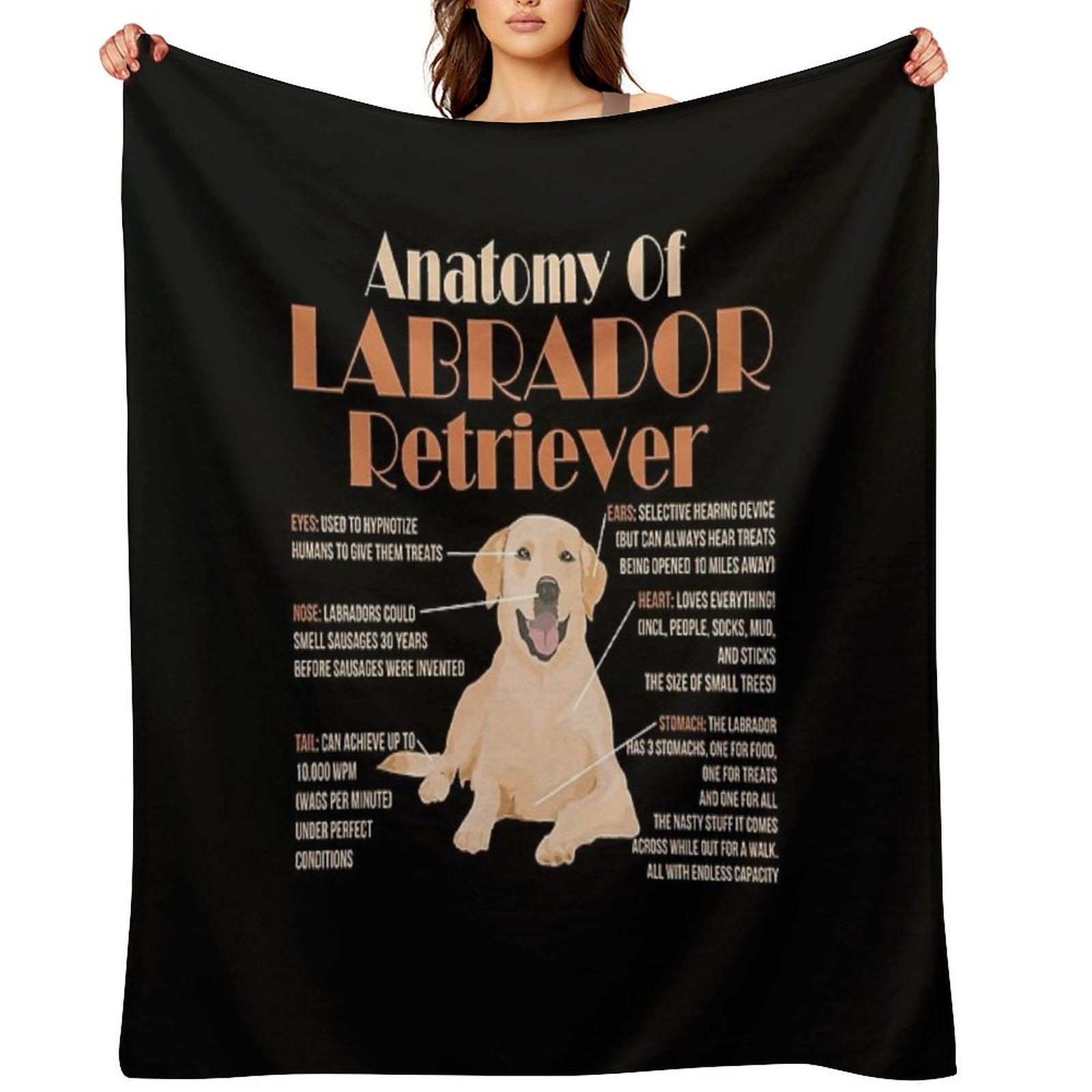 Anatomy of Labrador Retriever Premium Throw Blanket