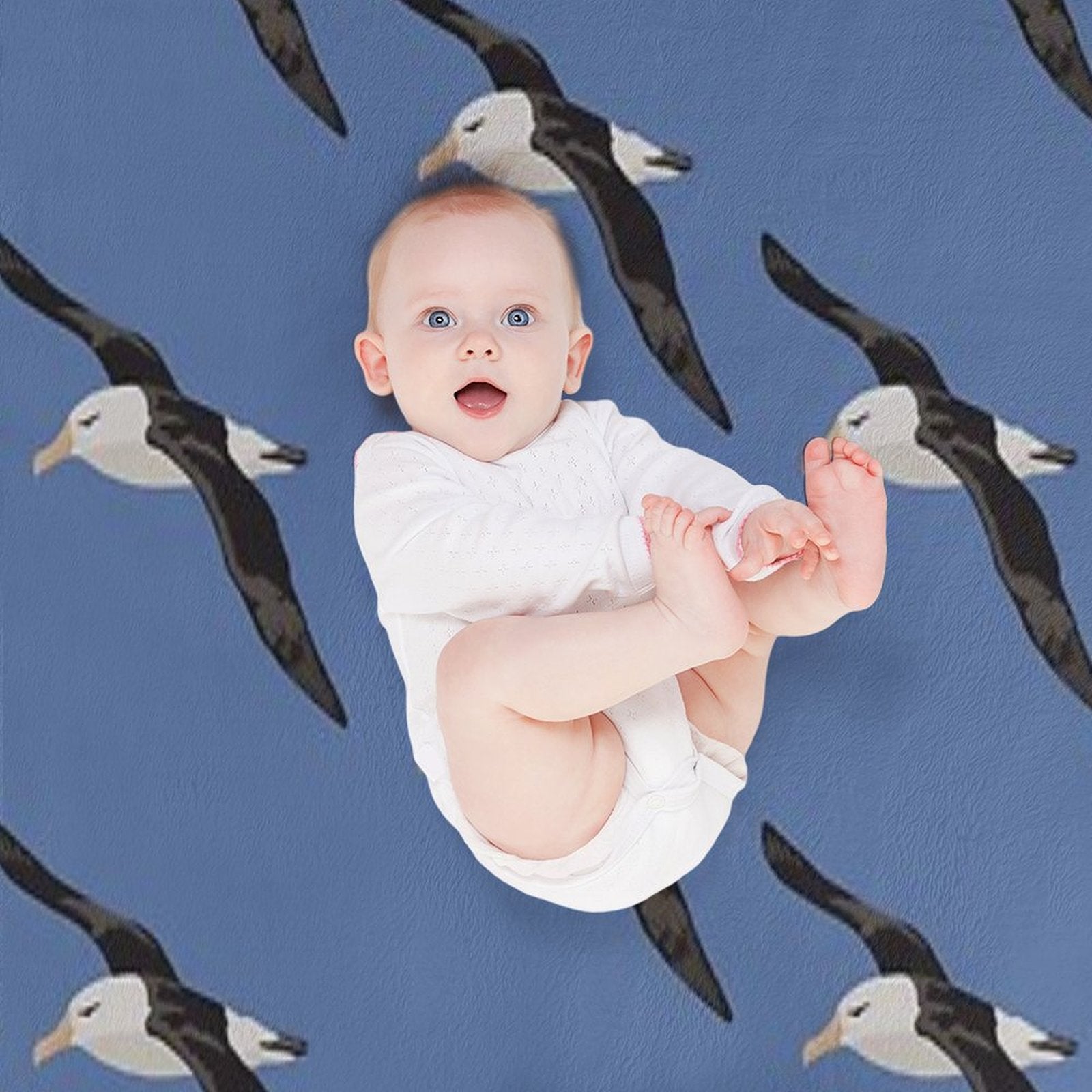 Black Browed Albatross Velvety-soft Throw Blanket