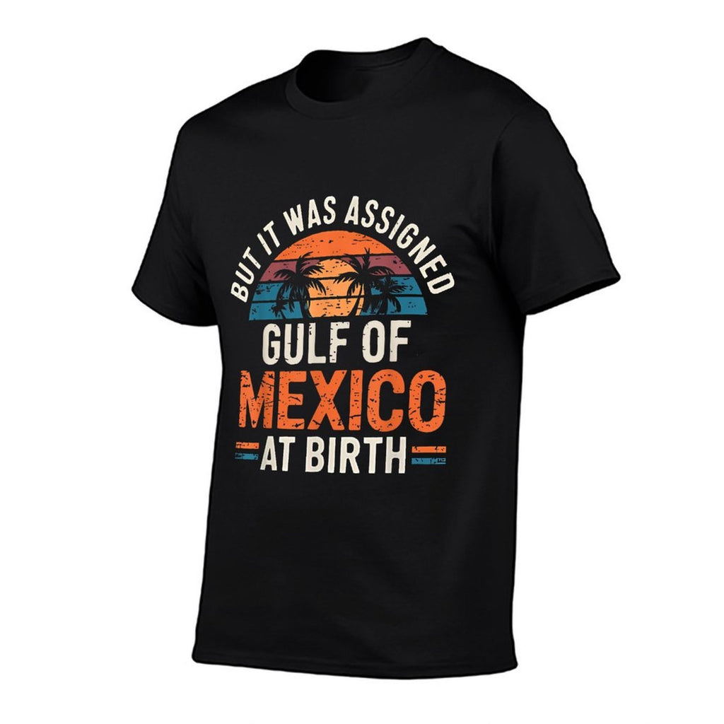 But It Was Assigned Gulf of Mexico at Birth Retro Beach  Oversized Silhouette T-Shirt