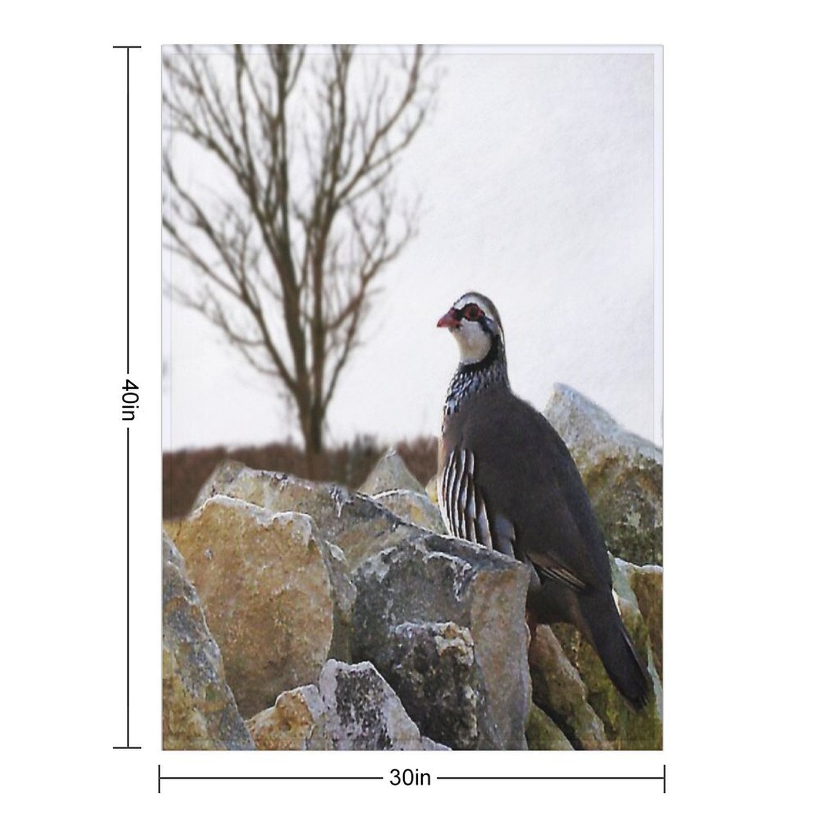 Winter Partridge Velvety-soft Throw Blanket