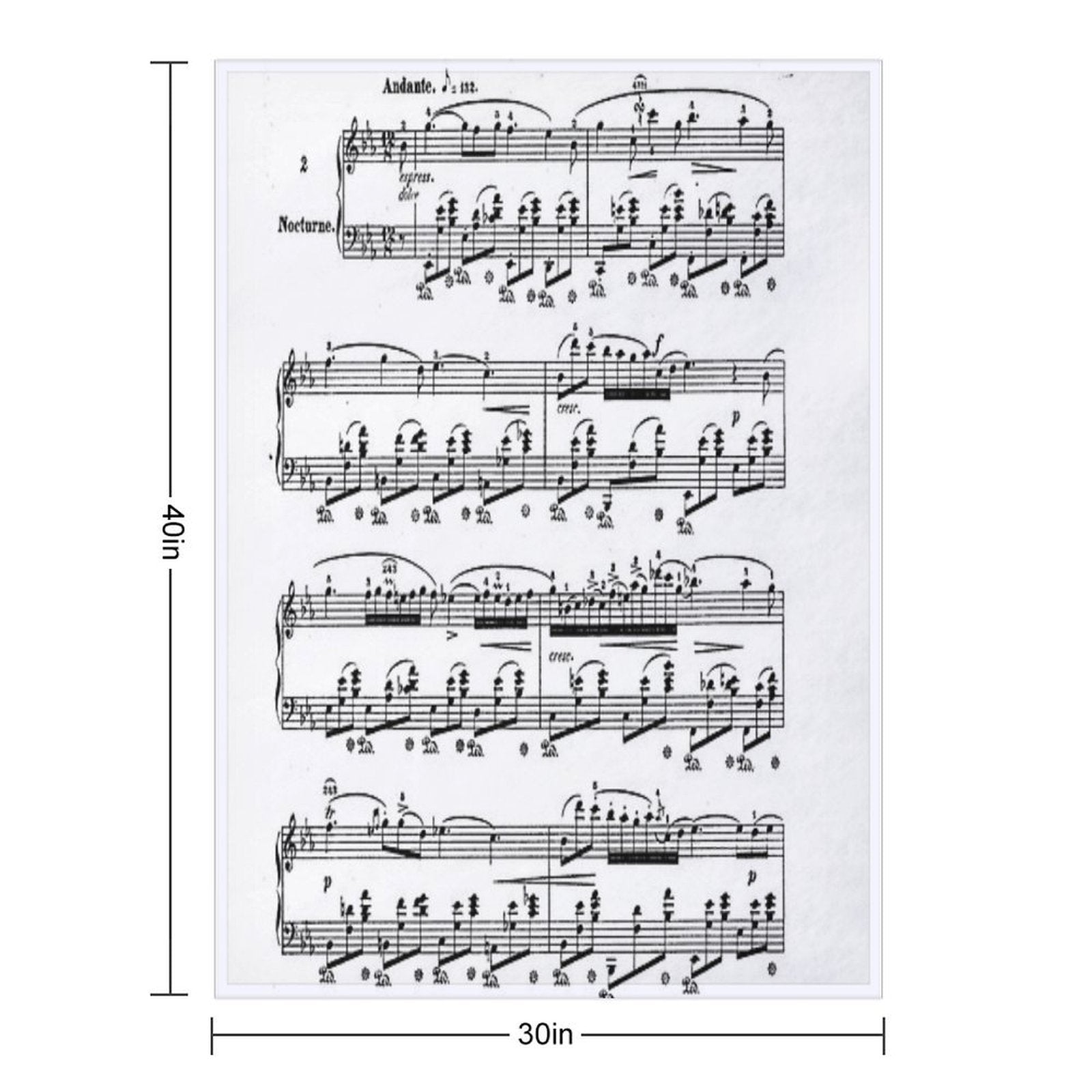 Chopin Nocturne Easy Care Throw Blanket