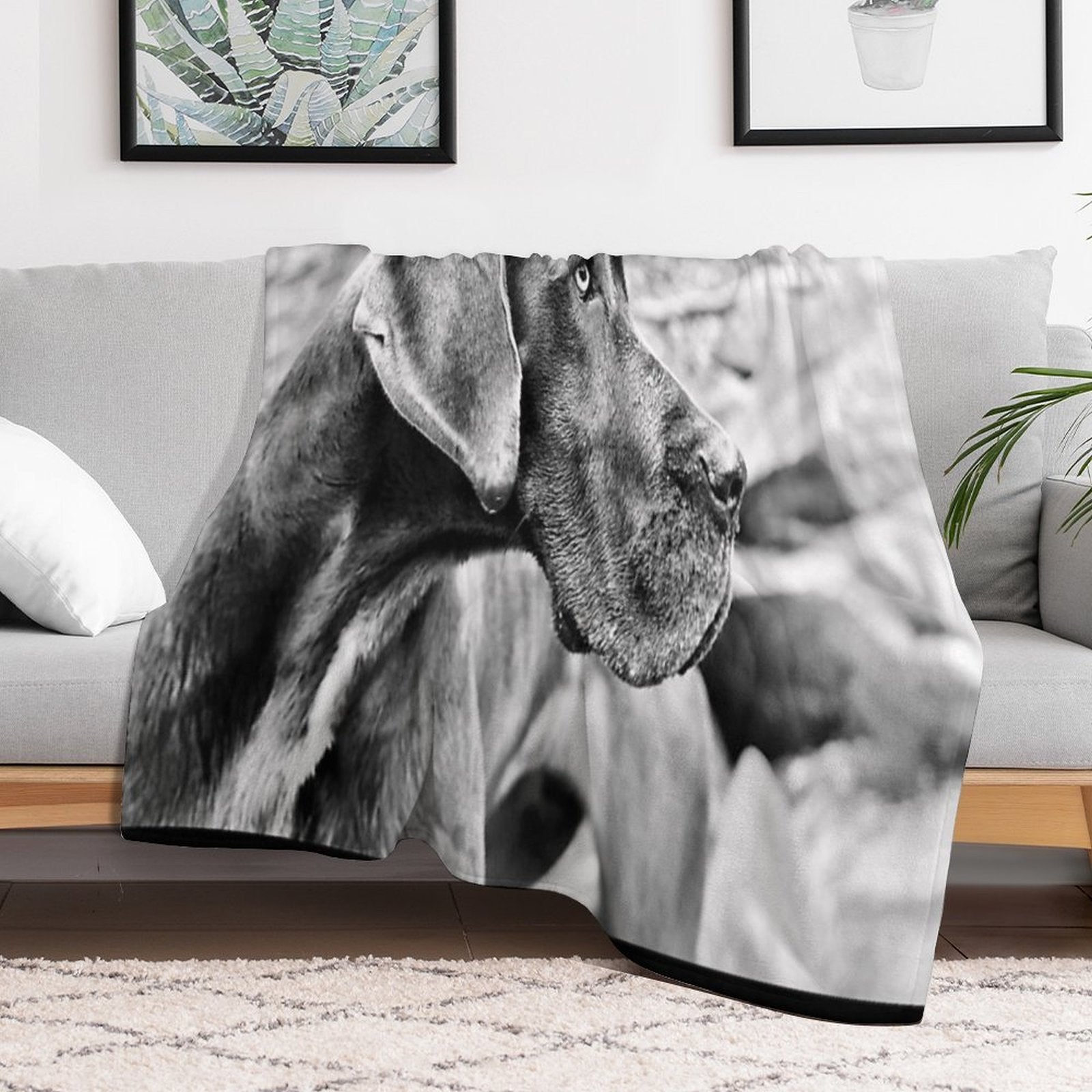 Blue Black Great Dane Wrinkle-free Throw Blanket